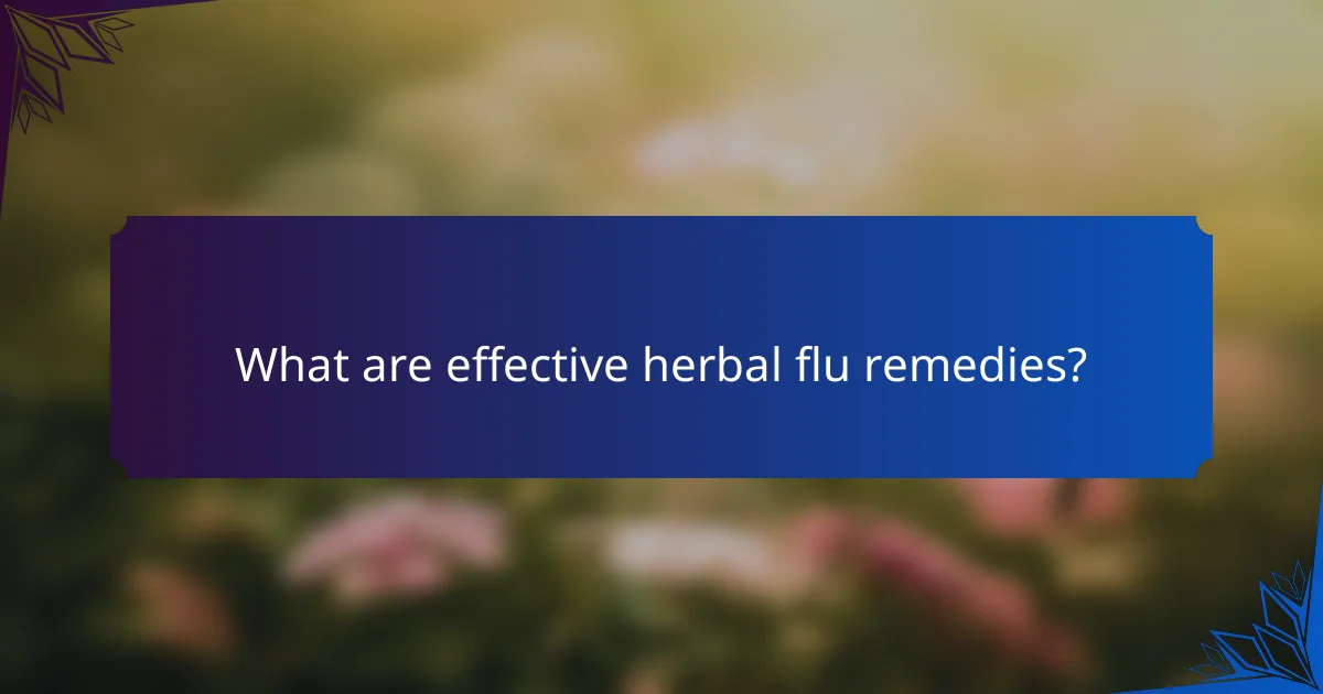What are effective herbal flu remedies?