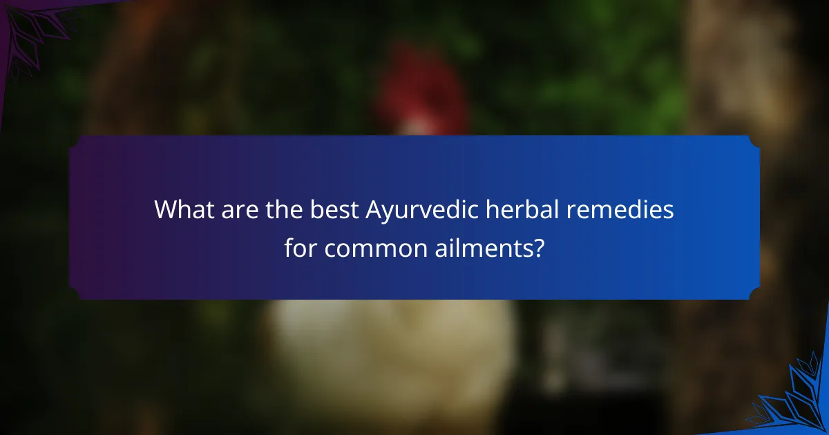 What are the best Ayurvedic herbal remedies for common ailments?