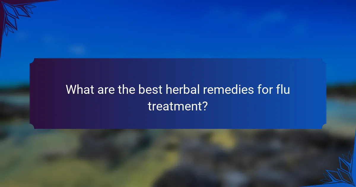 What are the best herbal remedies for flu treatment?