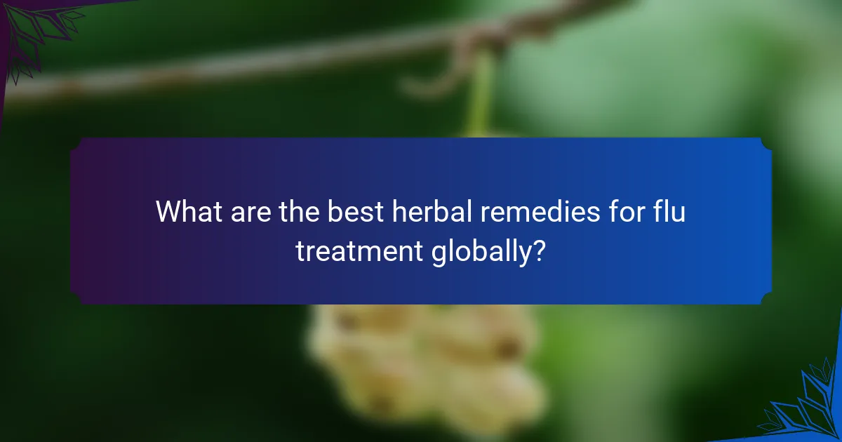 What are the best herbal remedies for flu treatment globally?