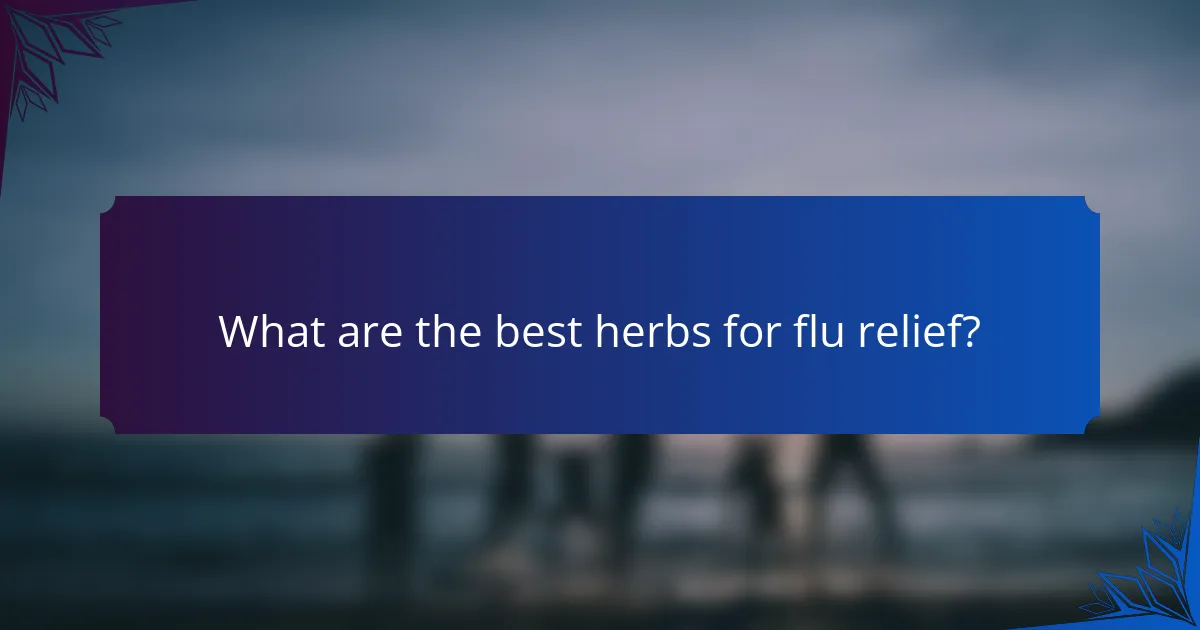 What are the best herbs for flu relief?