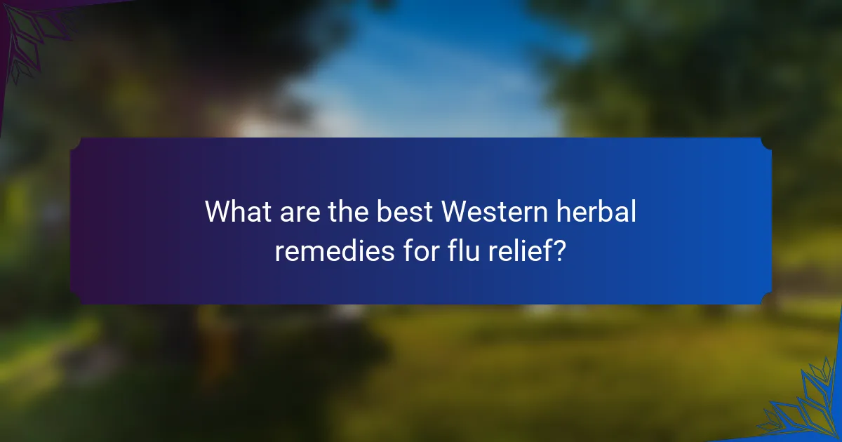 What are the best Western herbal remedies for flu relief?
