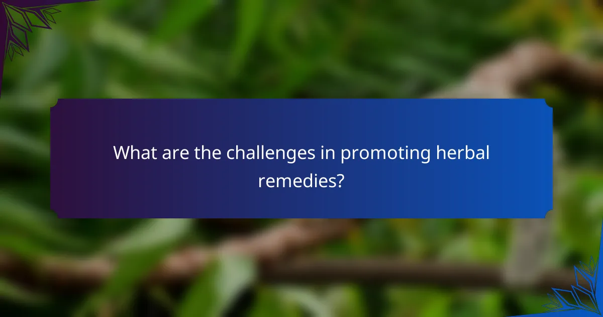 What are the challenges in promoting herbal remedies?