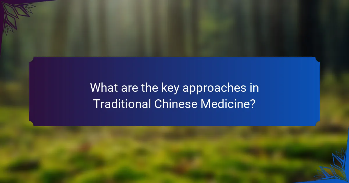 What are the key approaches in Traditional Chinese Medicine?