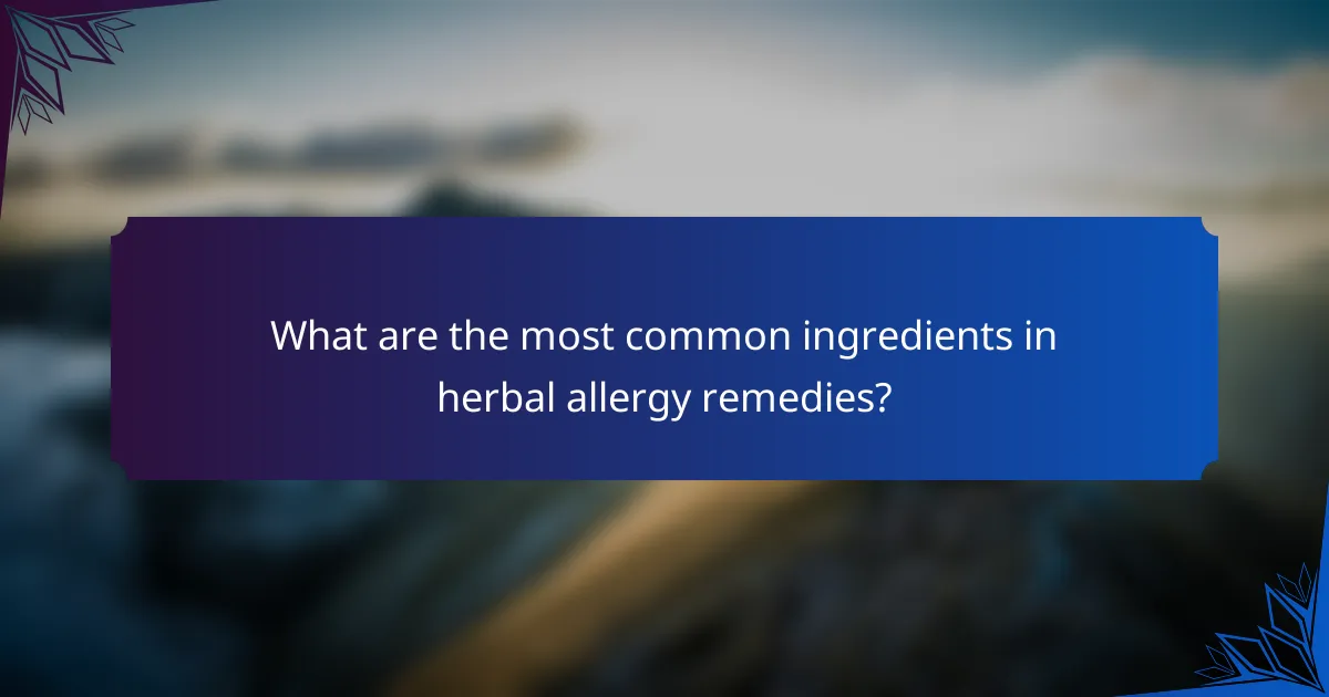 What are the most common ingredients in herbal allergy remedies?