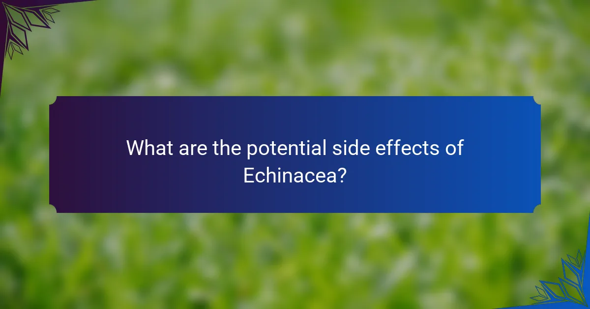 What are the potential side effects of Echinacea?