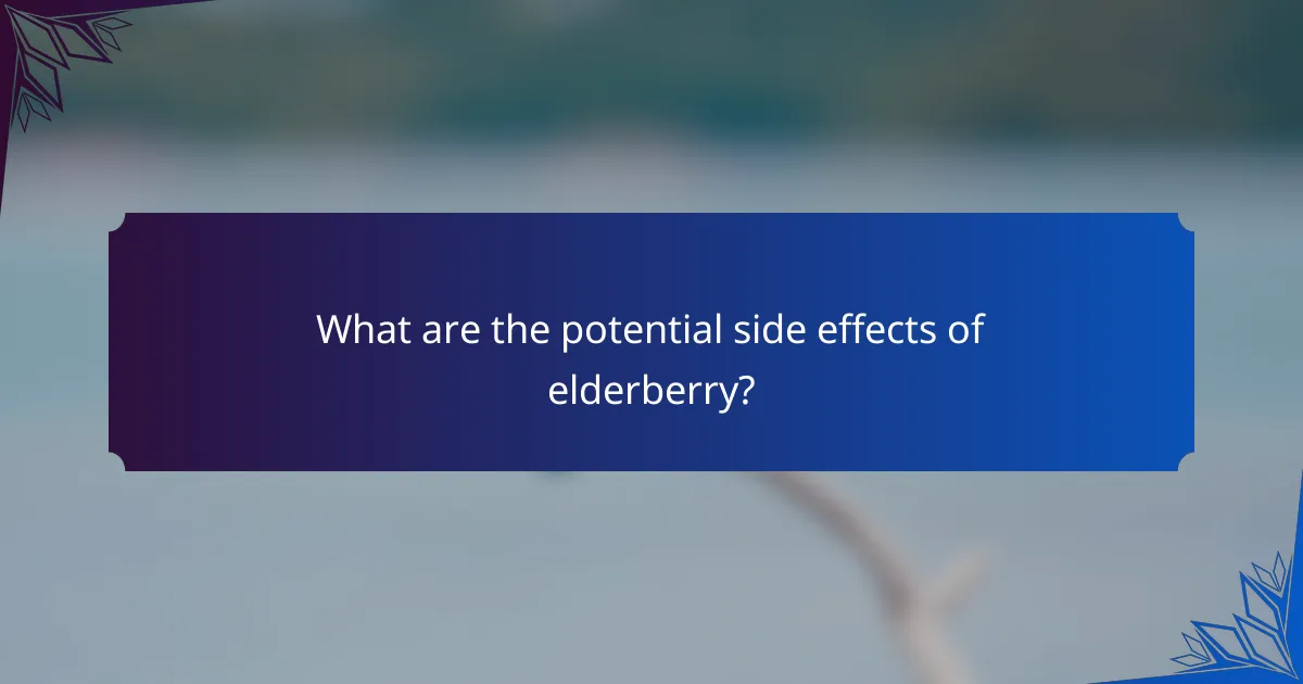 What are the potential side effects of elderberry?