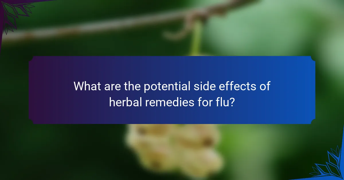 What are the potential side effects of herbal remedies for flu?