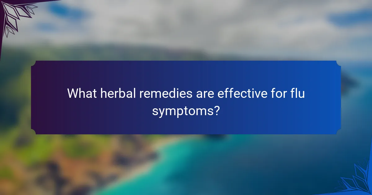 What herbal remedies are effective for flu symptoms?