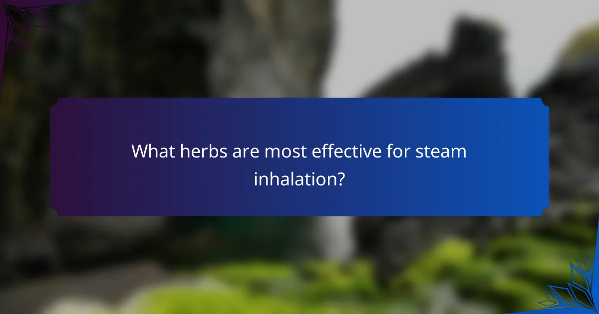 What herbs are most effective for steam inhalation?
