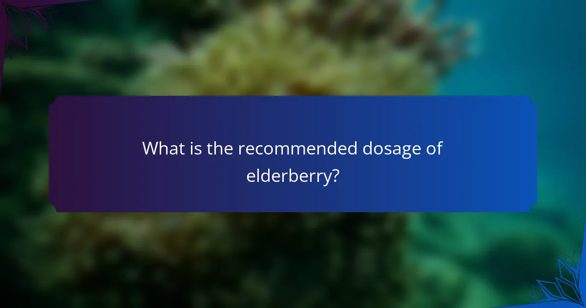 What is the recommended dosage of elderberry?