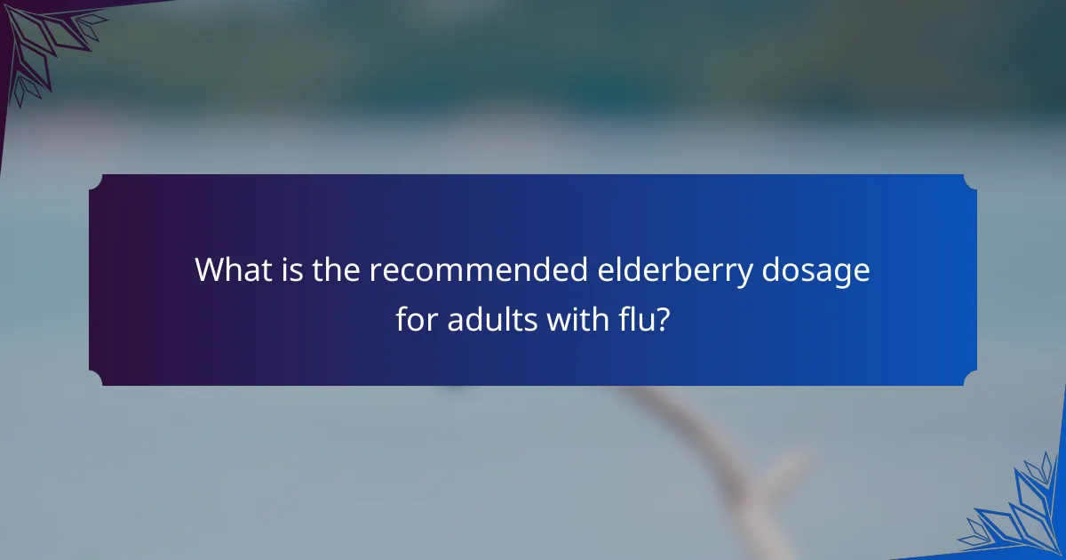 What is the recommended elderberry dosage for adults with flu?